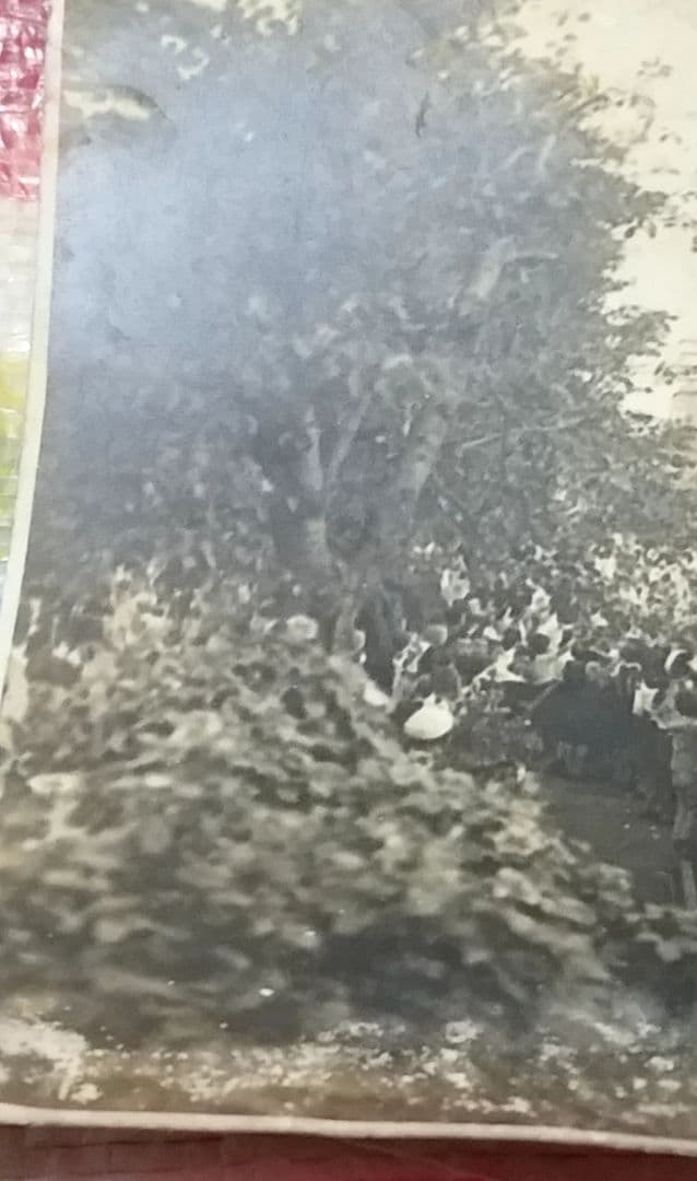 骨董品　貴重　古写真　旧皇族　旧宮家　朝香宮鳩彦王　他1品