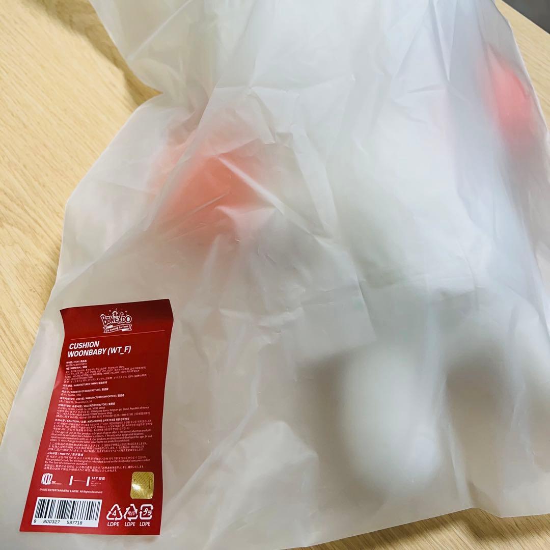 BOYNEXTDOOR BBNEXDO ボネクドPOPUP クッション ウナク