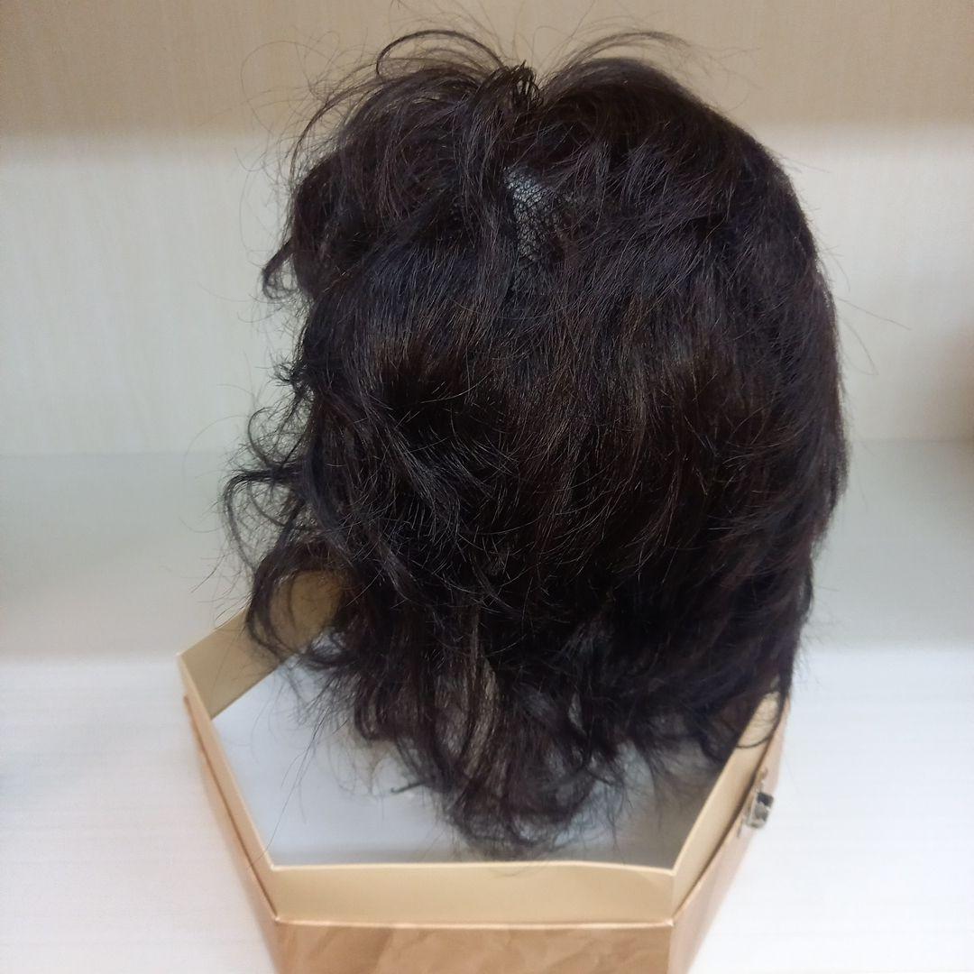 フォンテーヌ　VALAN　demi　ヴァラン　ウィッグ　人毛