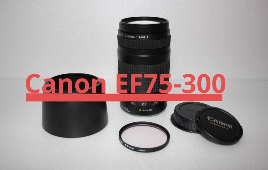 デジタル一眼レフカメラ/望遠レンズ/Canon EF75-300㎜の通販はau PAY