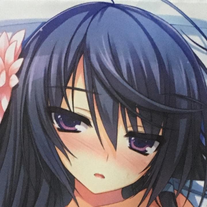 レミニセンス 水野凛 激レアセット (Tシャツ 抱き枕 CD タペストリー)