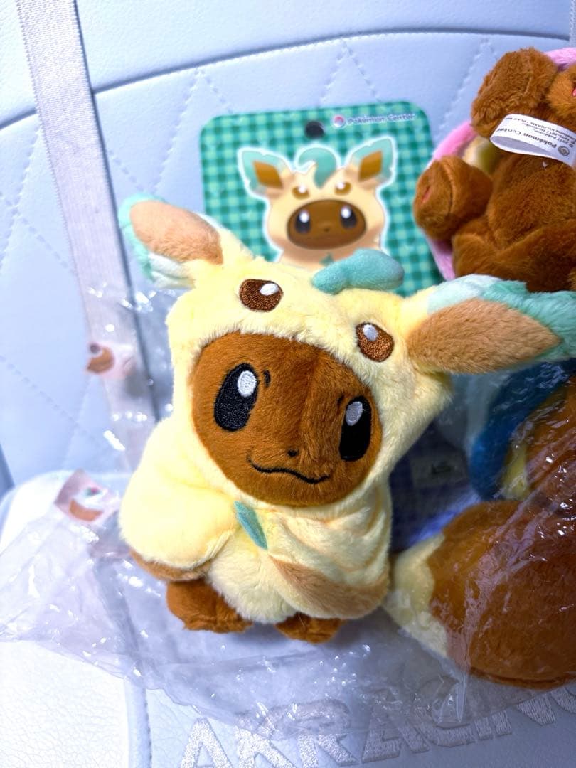 (全種&タグ付き)ポンチョを着たイーブイ ぬいぐるみマスコット