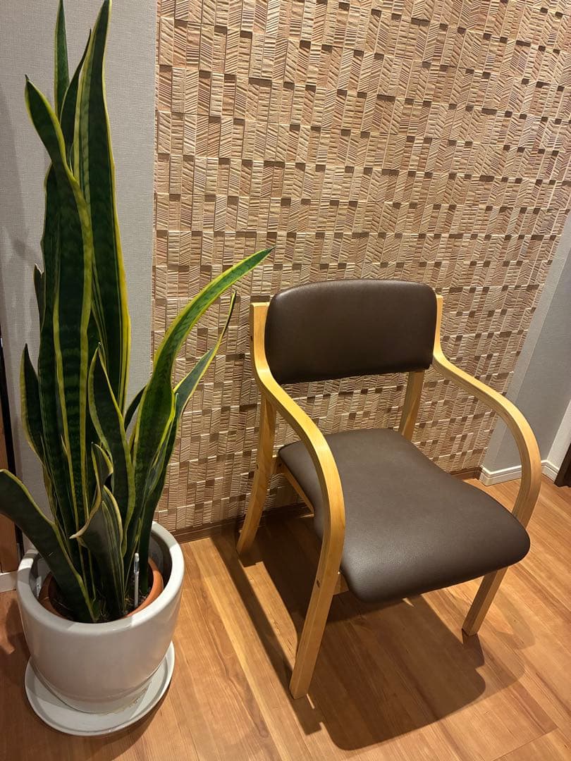 アイカツ プラムトルテコーデ 三ノ輪ヒカリ アイカツ wm コーデ