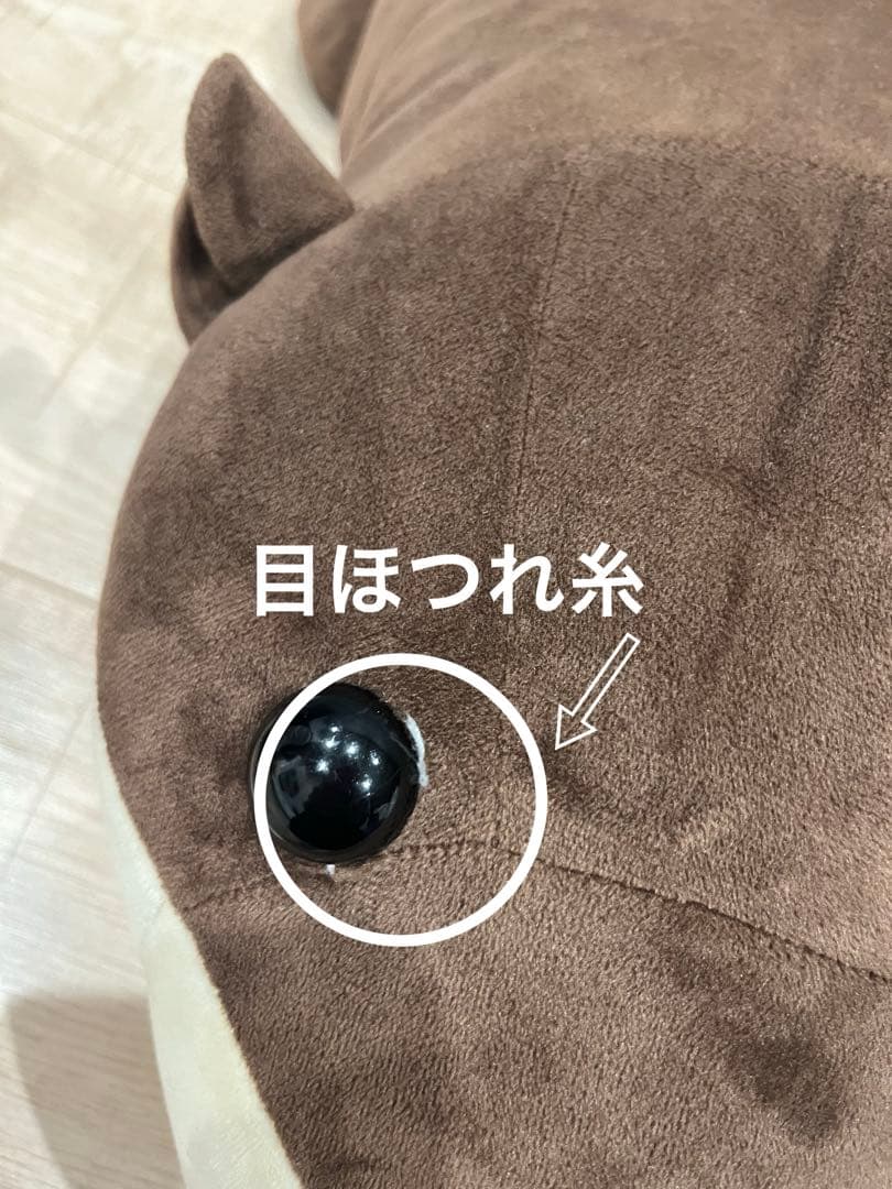 名古屋港水族館　南知多ビーチランド　スピードくじ　特賞　激レア