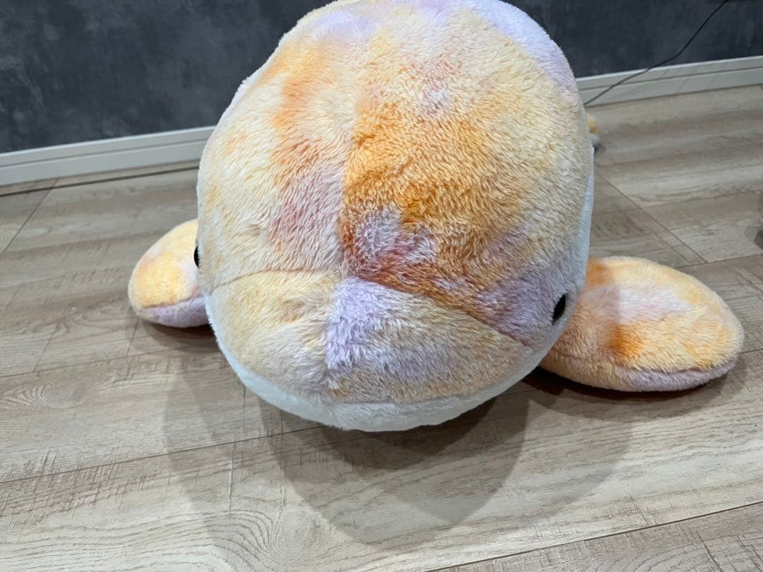 名古屋港水族館　南知多ビーチランド　スピードくじ　特賞　激レア