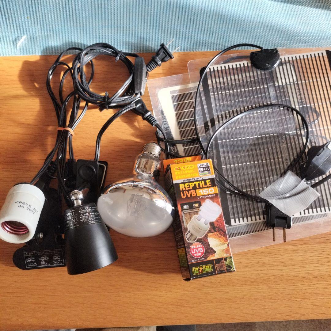 Lifeページ✨ mqdefault.jpg