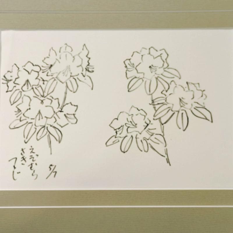 ☆坂本直行☆「 エゾムラサキツツジ 」ペン画　大衣　未使用!