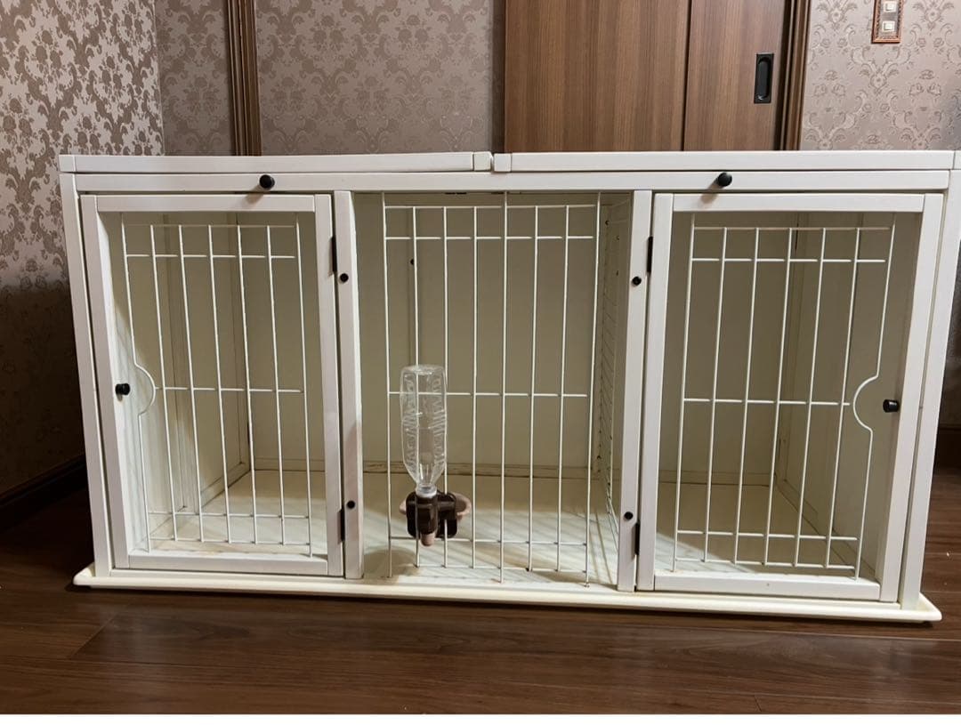 ⚠️家に猫が居ます⚠️さん専用 家に猫が居ます ステッカー♪ | iichi 日々の暮らしを心地よくする