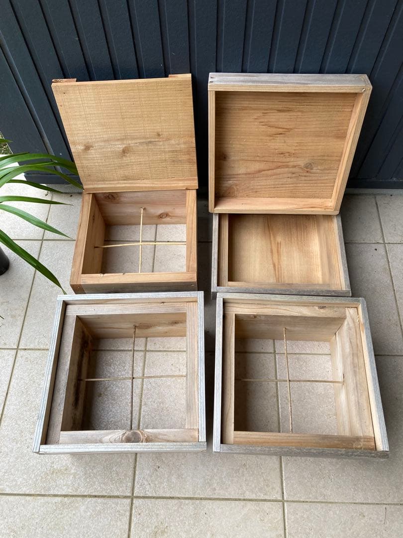 日本ミツバチ用巣箱　重箱式　キンリョウヘンおまけ