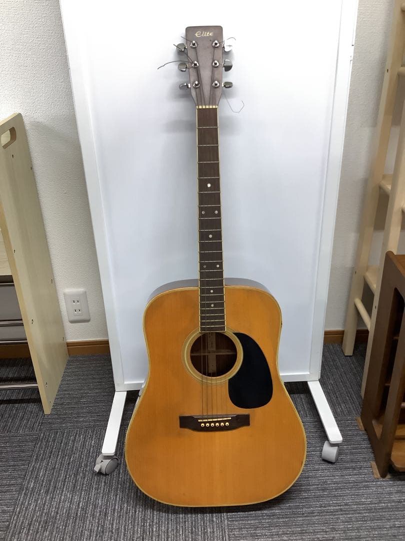 アコースティックギター Takamine Elite TW-40 ハードケース付