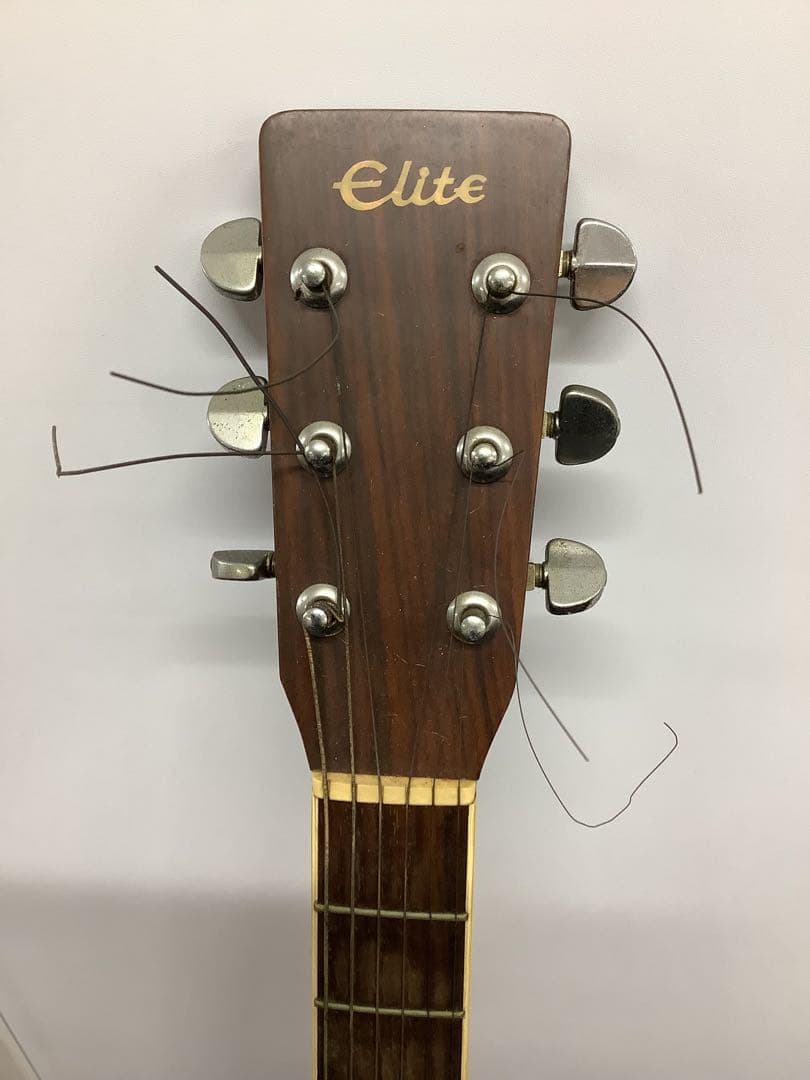 アコースティックギター Takamine Elite TW-40 ハードケース付