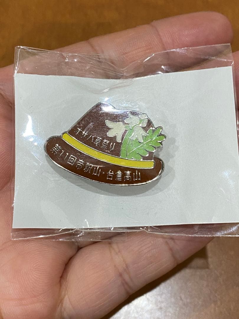 未開封 登山ピンバッジ 5点セット+ チーバくんピンバッジ一点おまけ