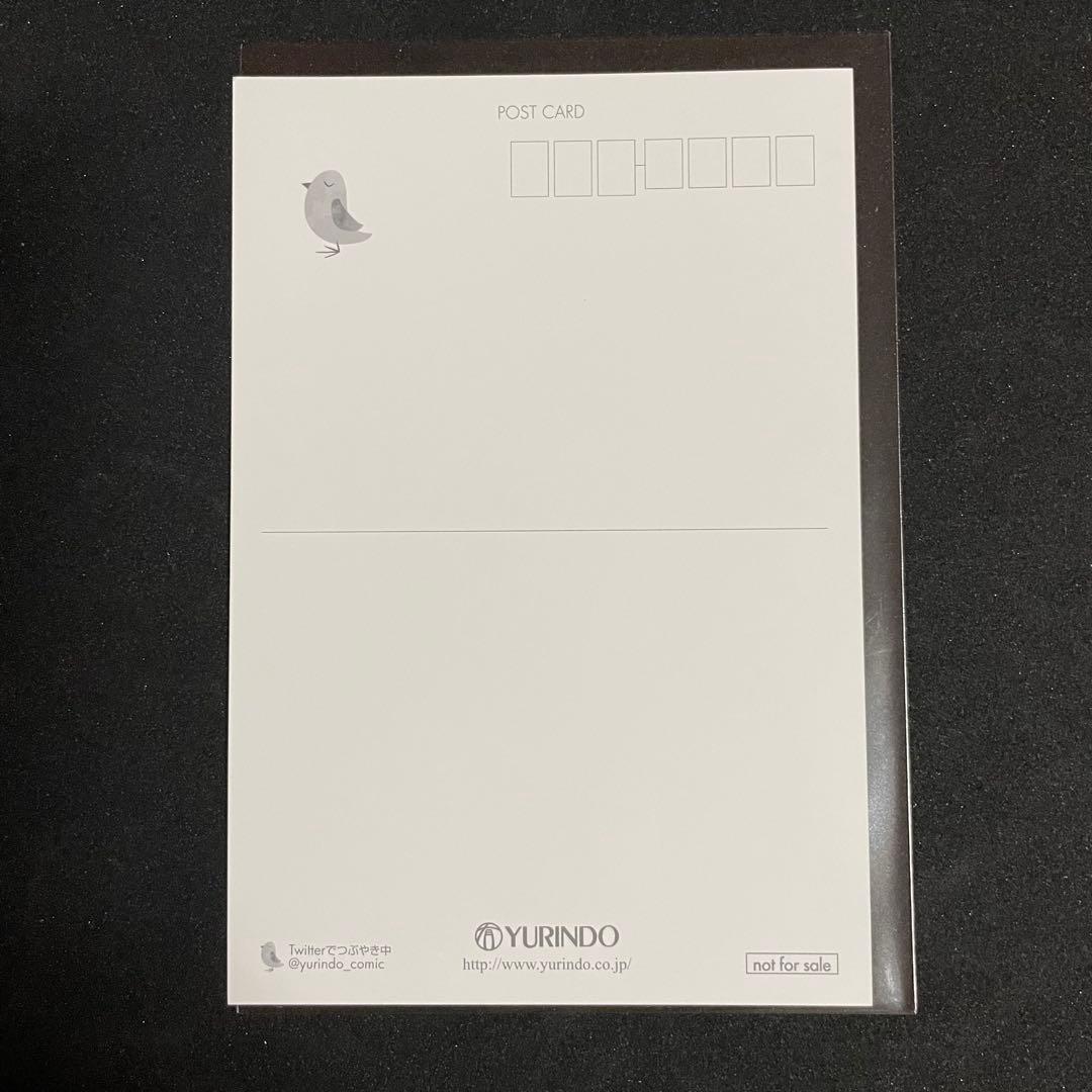 聖闘士星矢 セインティア翔［8巻］有隣堂特典 ポストカード 非売品