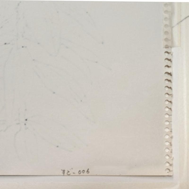 ☆坂本直行☆「 石楠花（しゃくなげ）」ペン画　大衣　未使用!