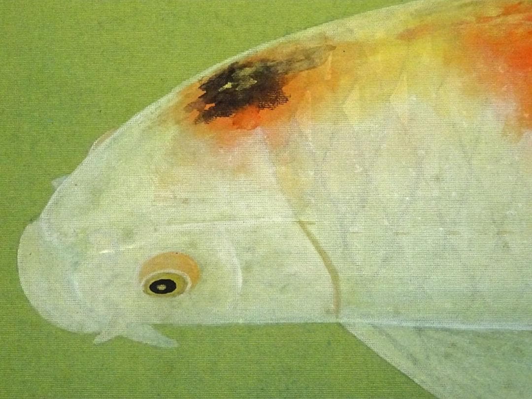 真作】掛軸 奥村玲瓏『鯉図』絹本 肉筆 共箱付 掛け軸 a091615