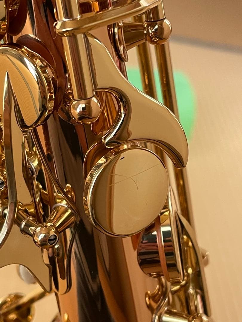 ヤナギサワ　アルトサックスA-WO2 2024年購入品