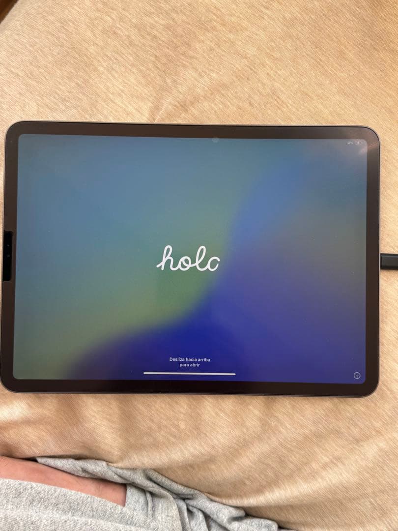 iPad Pro 第2世代 Appleストア購入 Apple pencil対応-正規取扱店で買っ