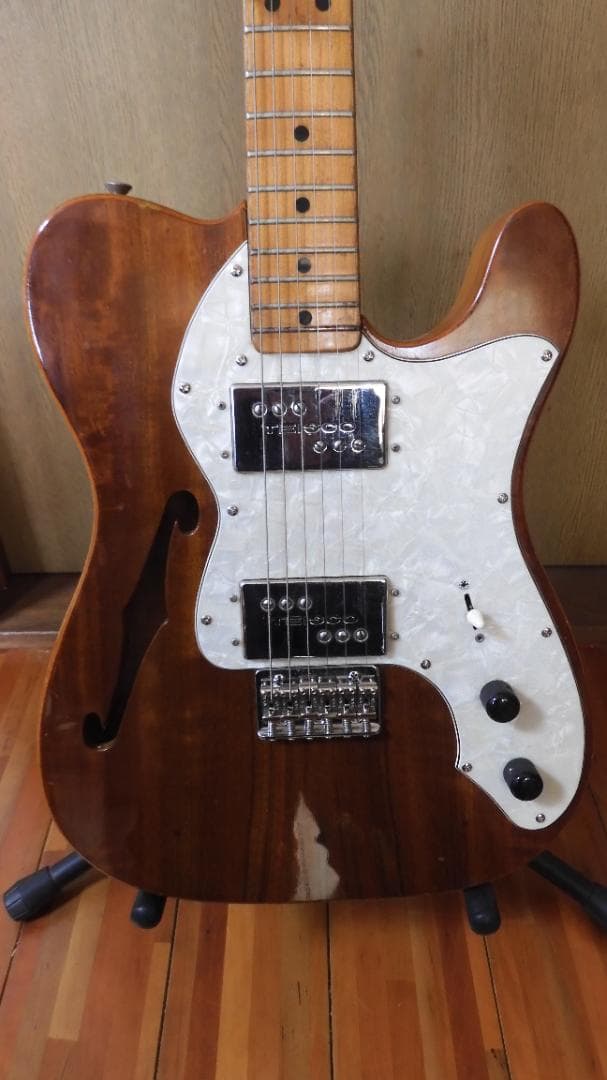 Teisco(テスコ)テレキャスターシンライン Teisco TE-440 テスコ