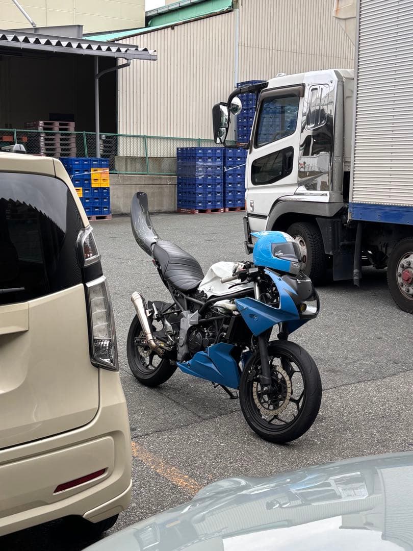 Ninja250SL BA250A ヘッドライト フェンダーレスセット Ninja250SL