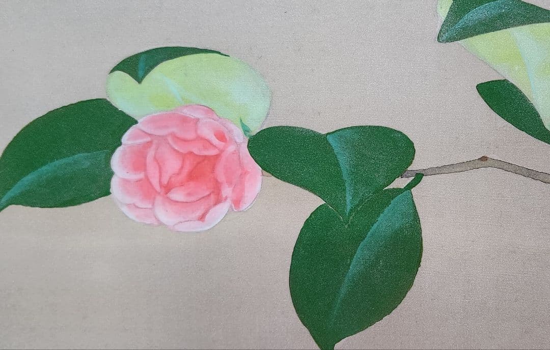 【乙女椿図】福田翠光 2678 共箱二重箱太巻 掛け軸 肉筆