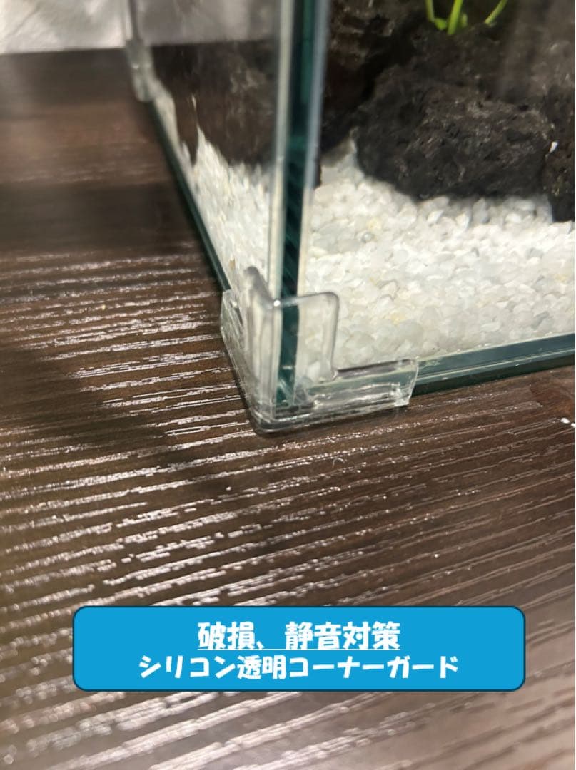 上部濾過槽＋ガラス水槽セット アクアリウム水槽アクアポニックス仕様