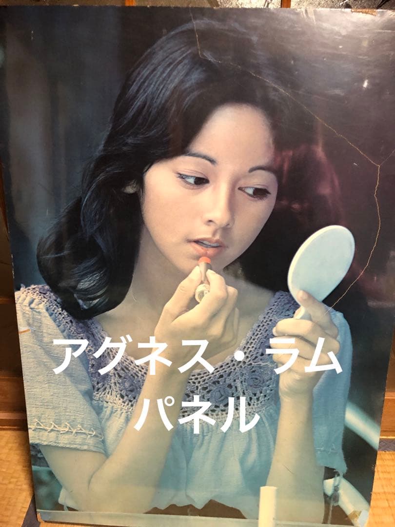 結構美の迫力あります！ハワイの女神アグネス・ラム希少パネル妖艶お