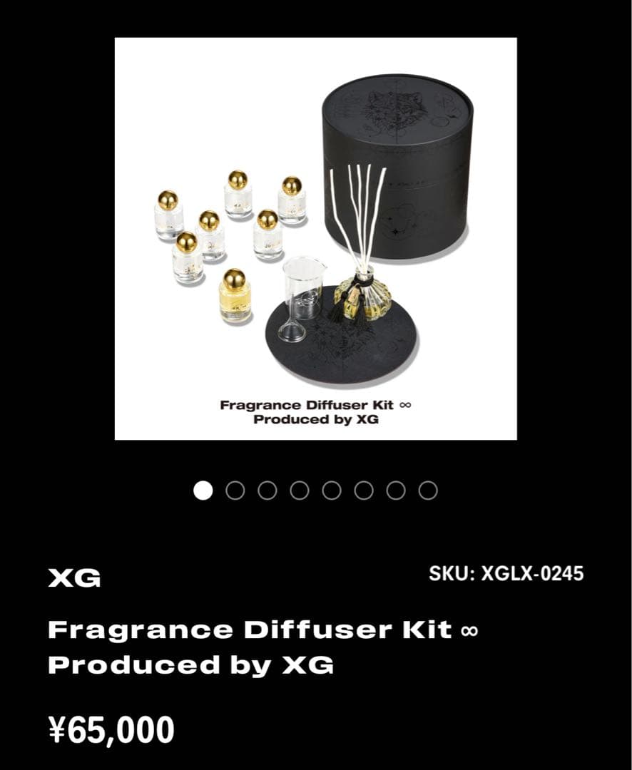 XG ディフューザー 新品未使用 XG ディフューザー 新品未使用