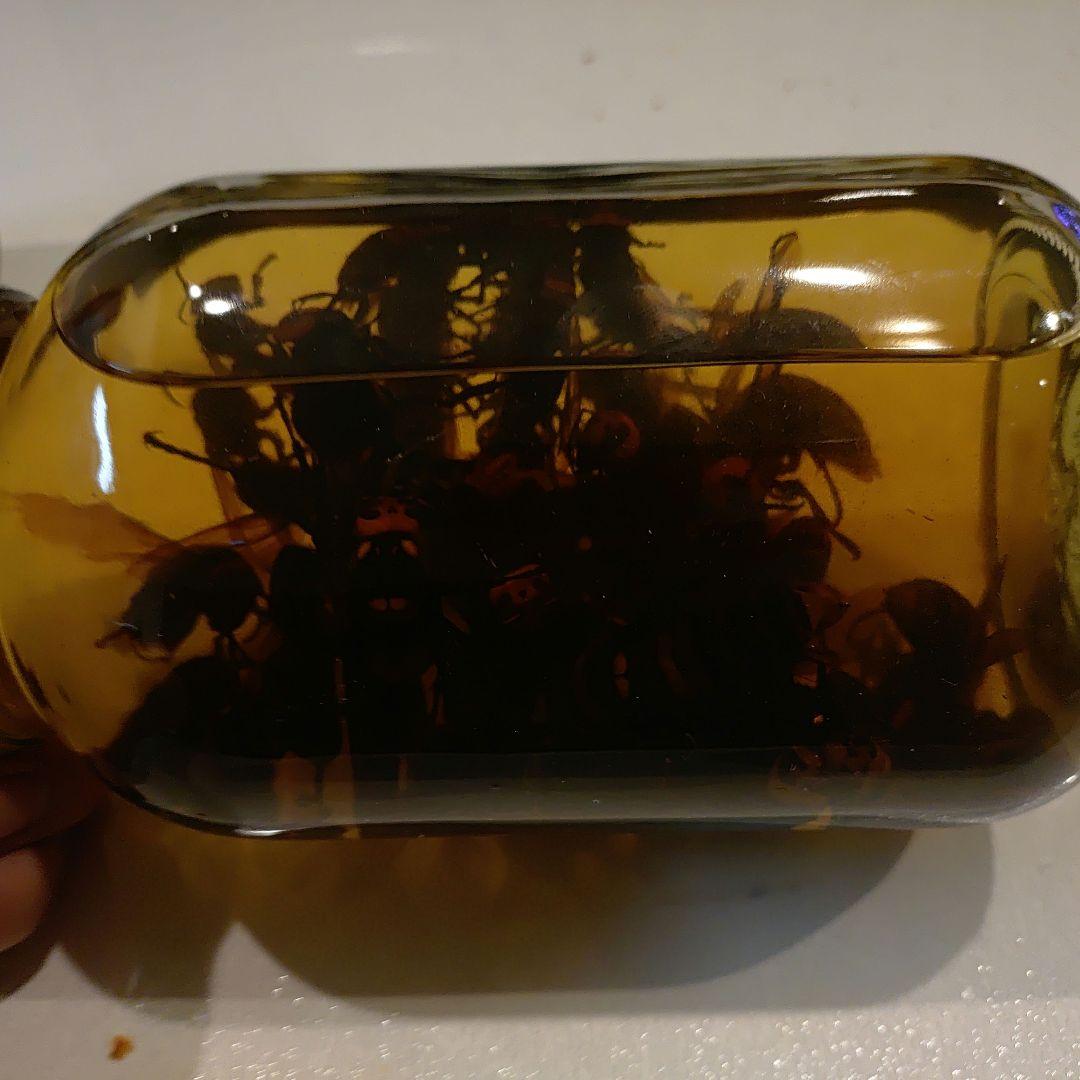 オオスズメバチ焼酎漬け1リットル✕2本　3年もの