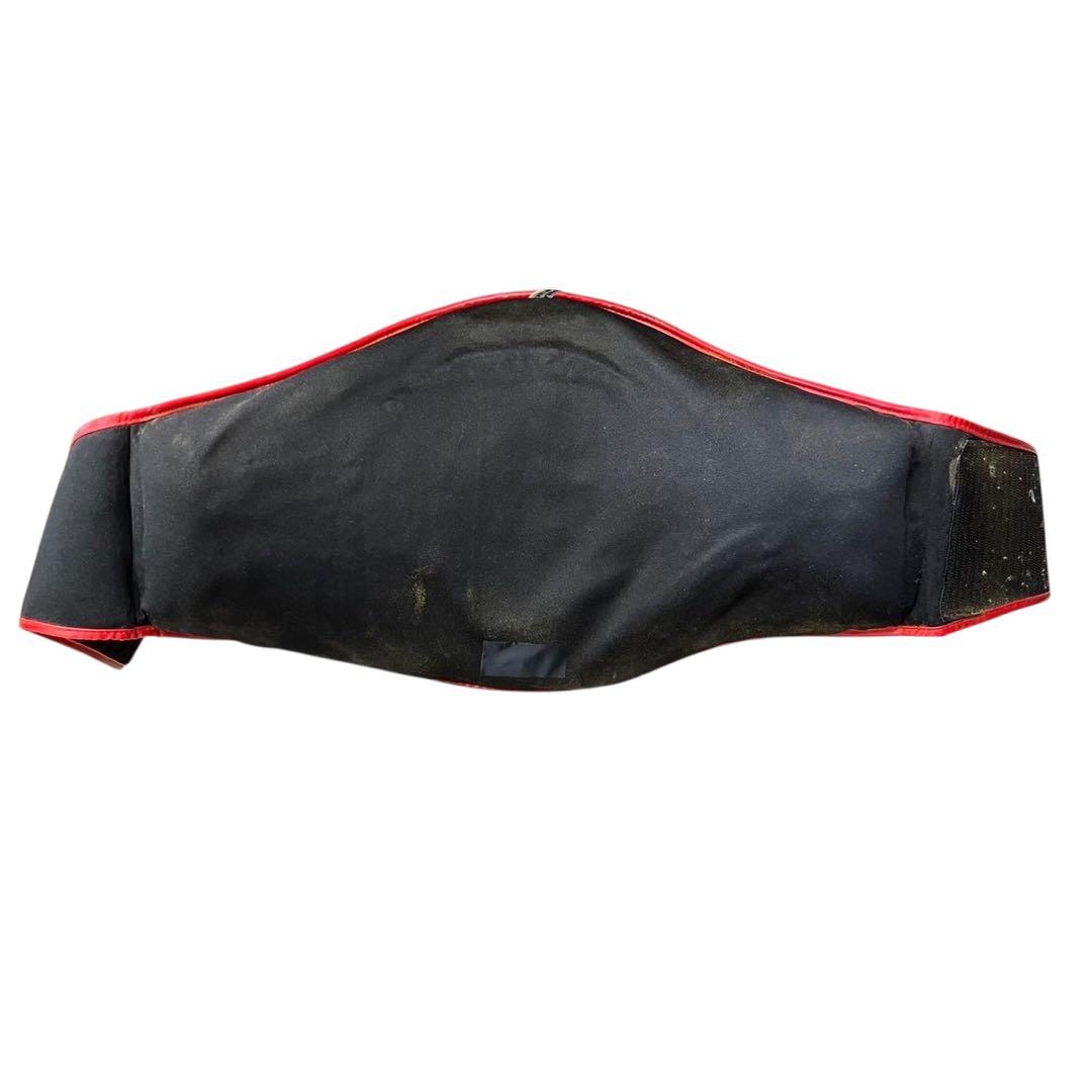 TWINSボディーミット キック打撃練習 格闘技