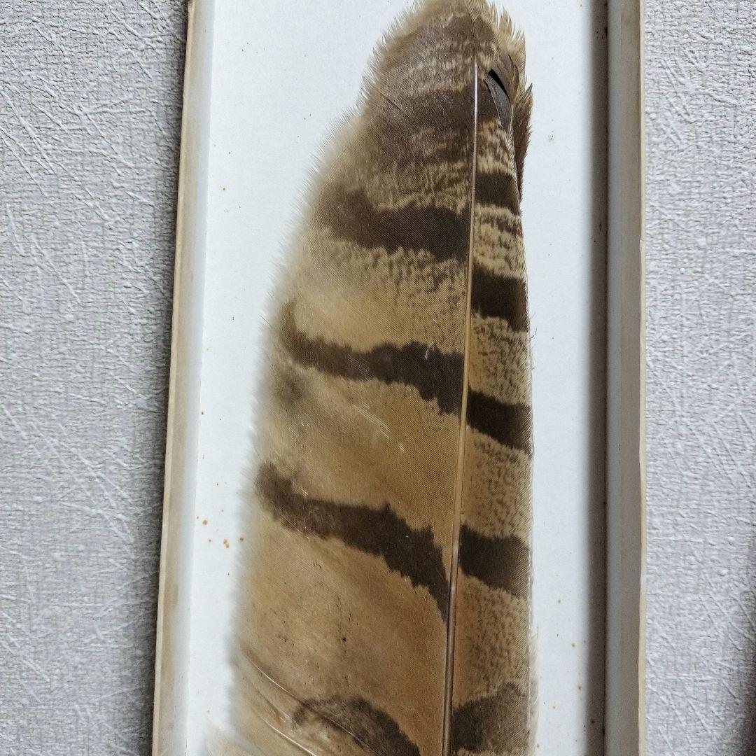 御羽箒 縞梟三ツ羽根 と姉羽鶴羽掃 風炉 紙箱 - メルカリ