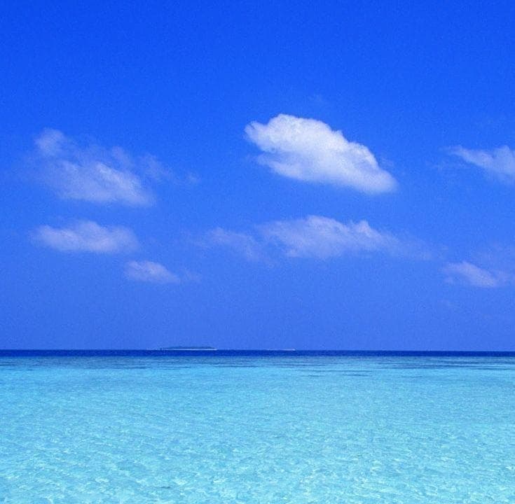 蛇香のライラ 第三夜 アラビアン・ナイト B2布ポスター Amazon | 蛇香