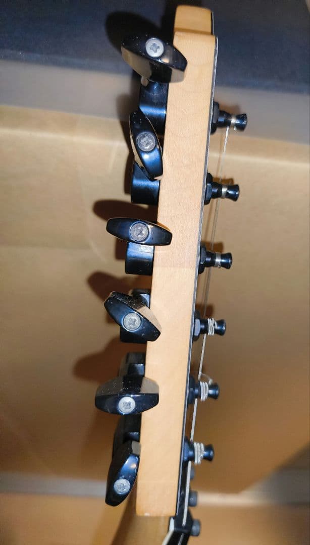 IBANEZ RG350DX (WH) ソフトケース付き