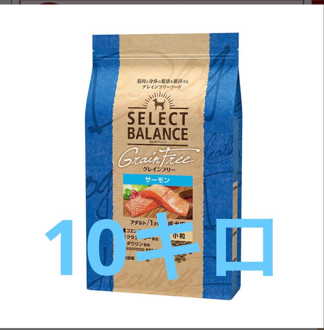 セレクトバランス グレインフリー アダルト サーモン 成犬用 10kg