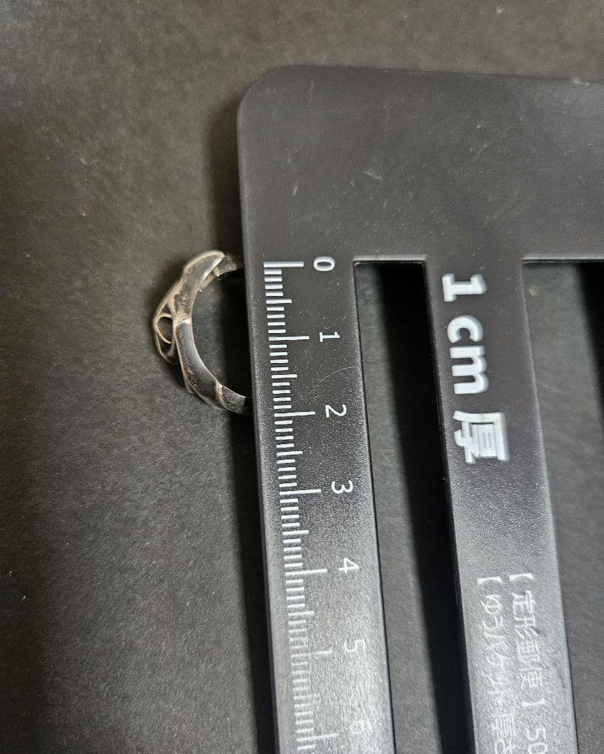 bizarre デビルリング ドラゴンウィングリング 2個セット