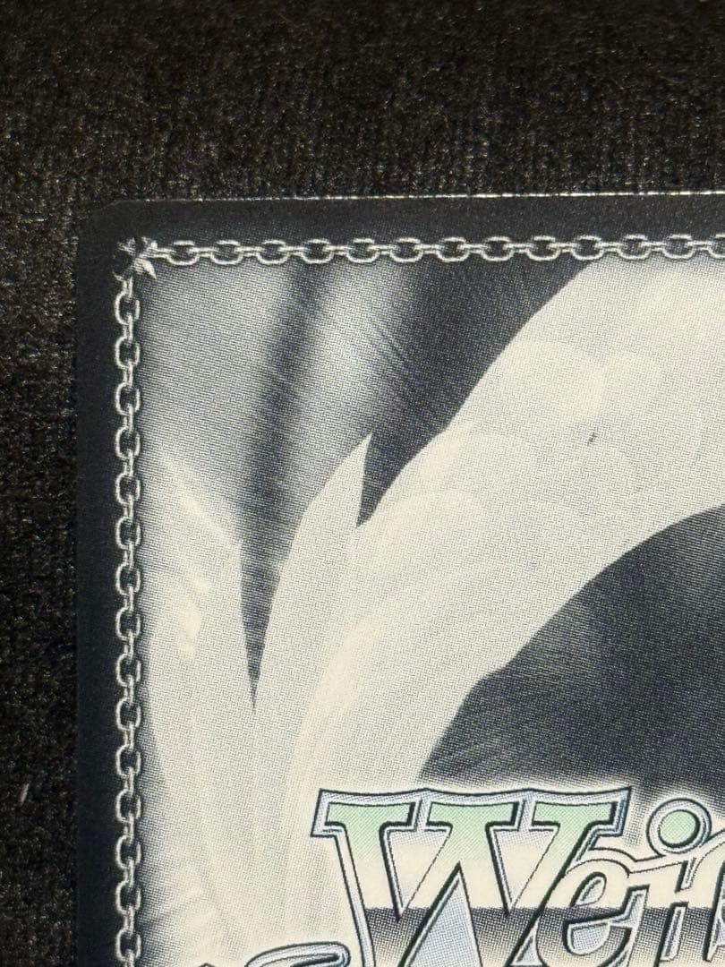 【マグネットローダー付き】ヴァイス　四万十　sp