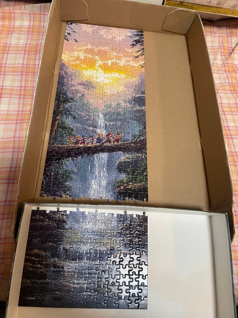 ディズニー ザ ジャーニーホーム ロデルゴンザレス 456p パノラマ パズル