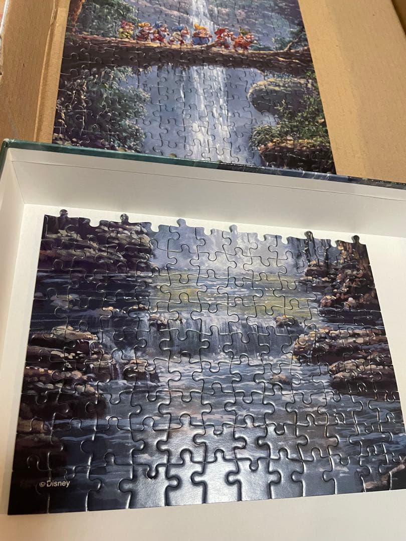 ディズニー ザ ジャーニーホーム ロデルゴンザレス 456p パノラマ パズル