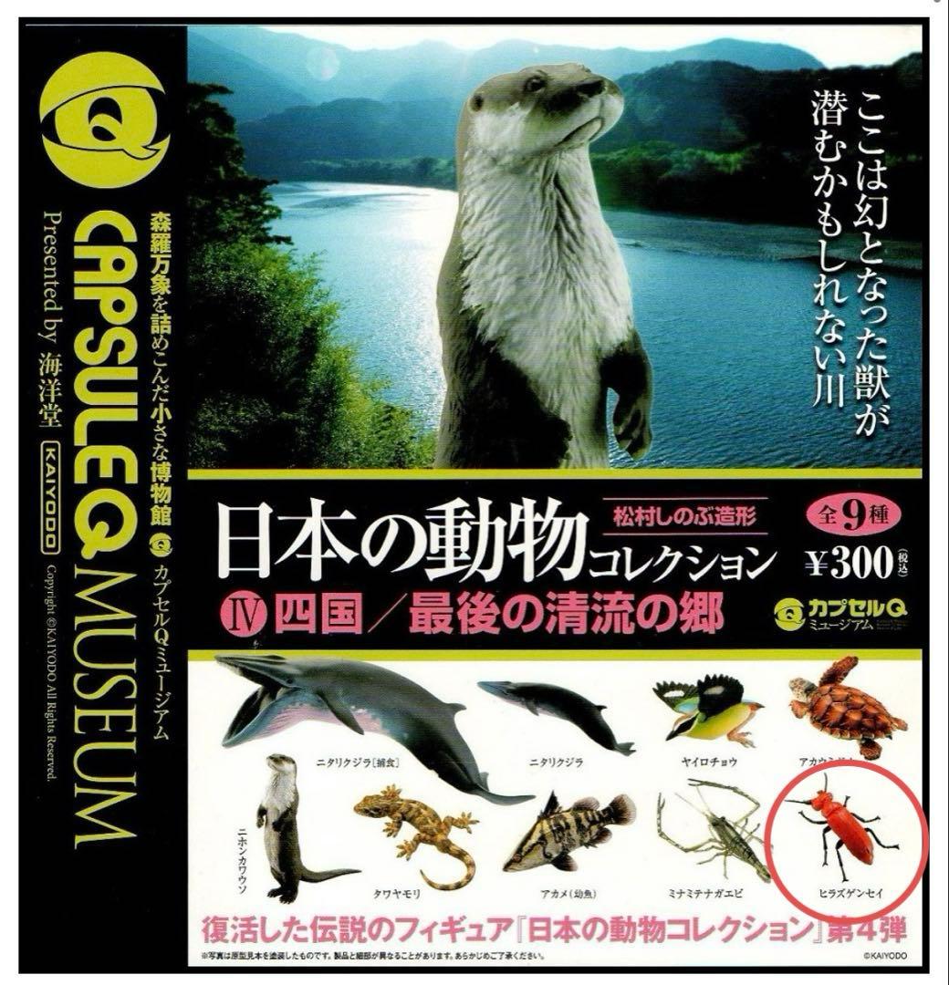 海洋堂 カプセルQミュージアム 日本の動物コレクション/ヒラズゲンセイ