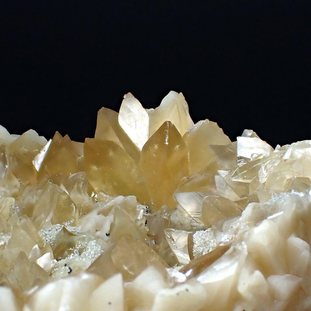 アメリカ/フロリダ産】カルサイト(方解石)inハマグリ化石