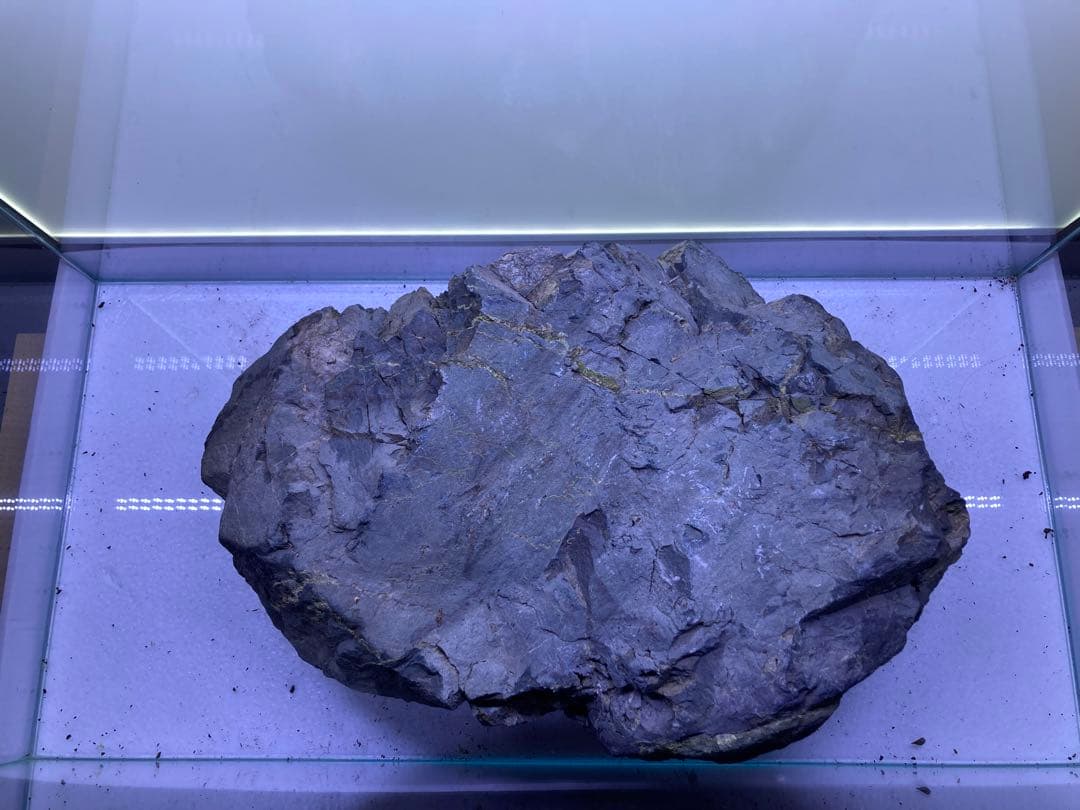 風山石　特大サイズ