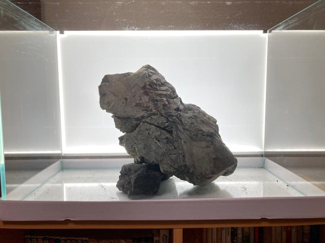 風山石　特大サイズ