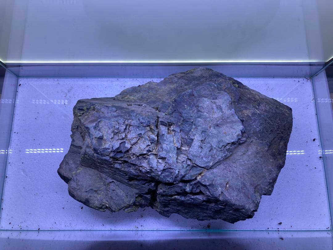 風山石　特大サイズ