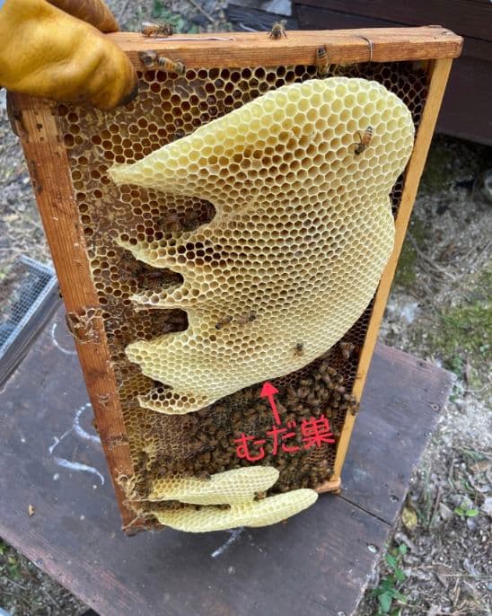国産天然蜜蝋ミツロウ　2KG 扱いやすいビーズ型