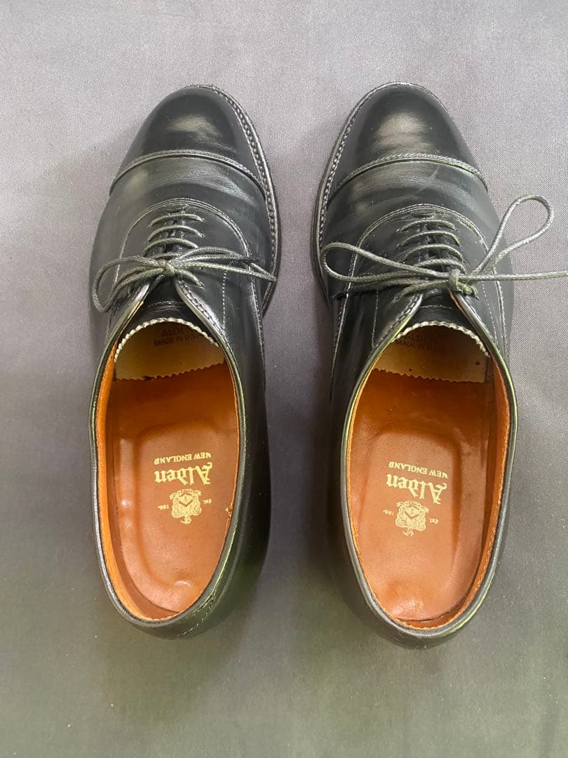 Alden ストレートチップ　キャップトゥ907 8D 26cm