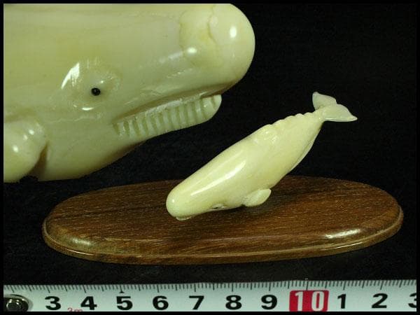 抹香鯨 歯 細密 彫刻 鯨 置物 根付 台付(K-A995) 2025年最新】鯨 歯 彫刻の人気アイテム - メルカリ 抹香鯨 歯 細密