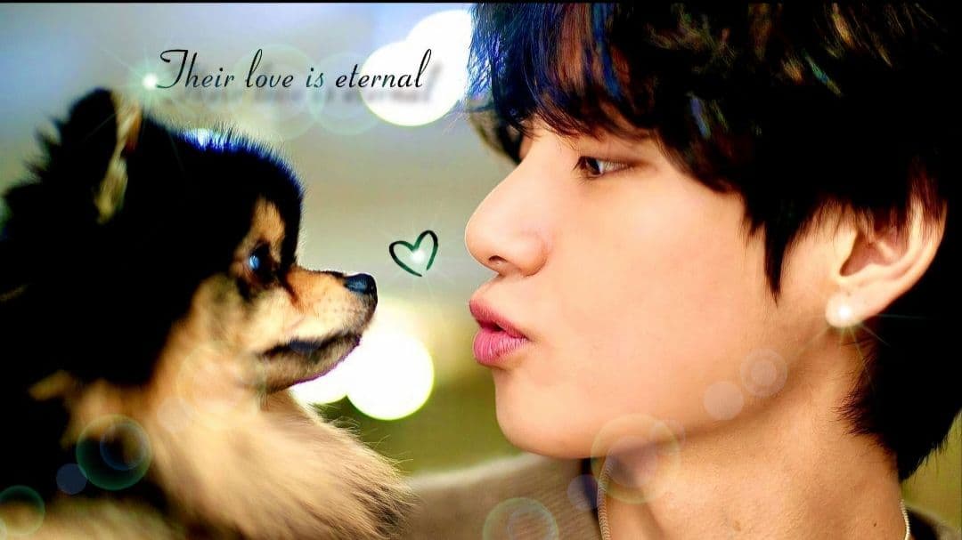 チミー様 確認用