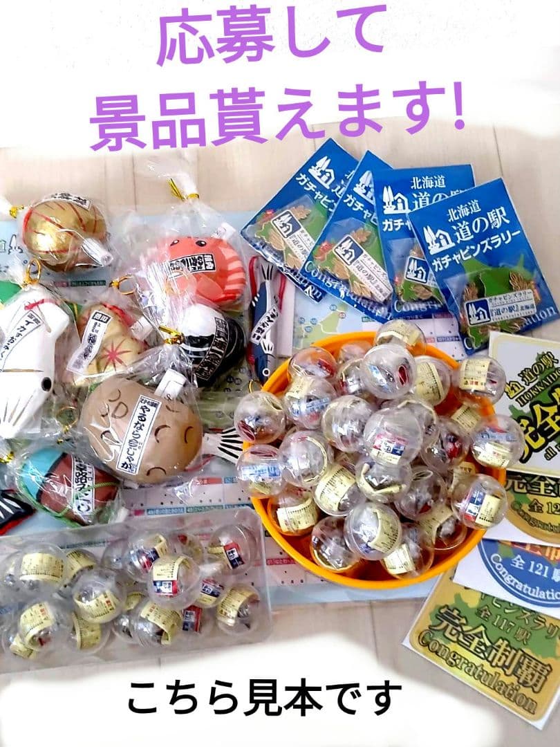 北海道道の駅ピンズゴールドピンズ2024年版 99種類早い物勝ち✨