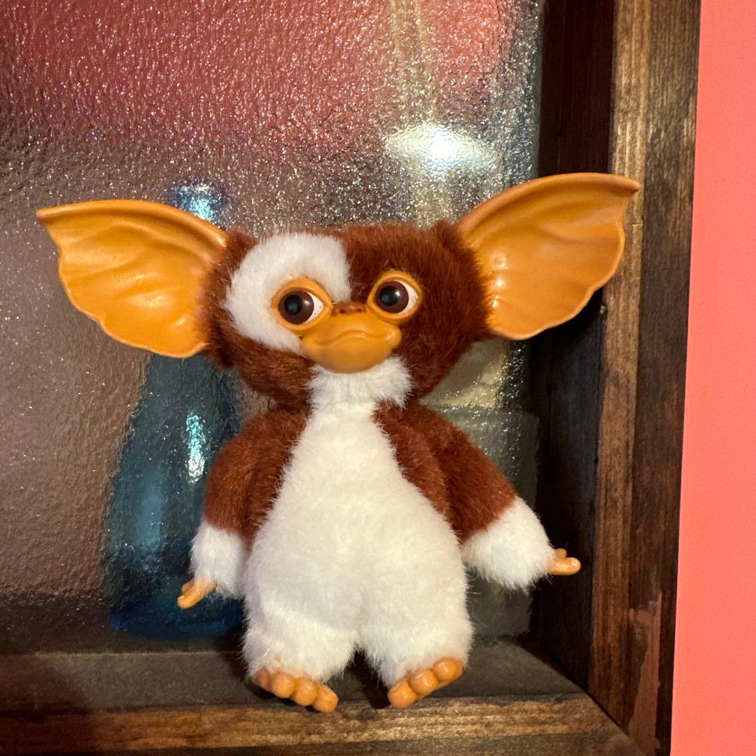 限定値下げ グレムリン ギズモ　ジュンプランニング