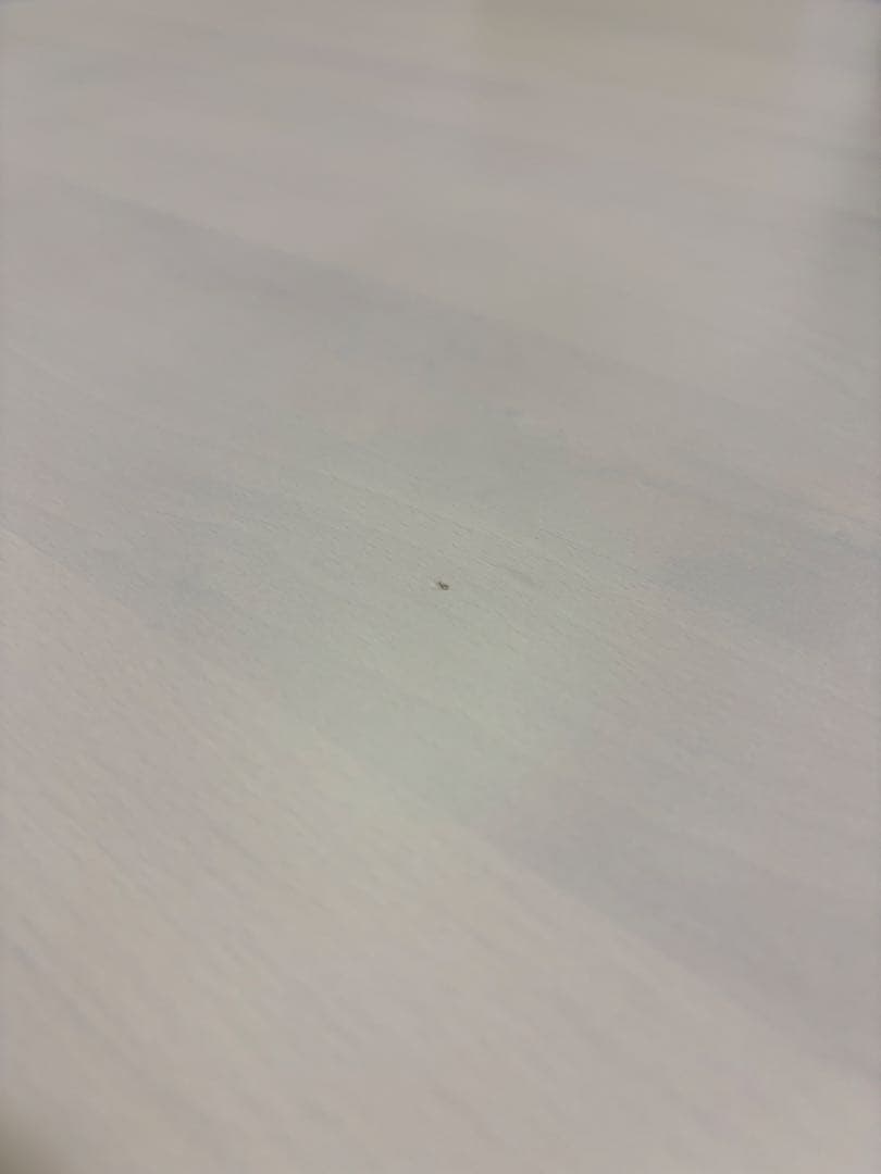 ダイニングテーブル (アルナス DF 80 WW) ホワイトウォッシュ