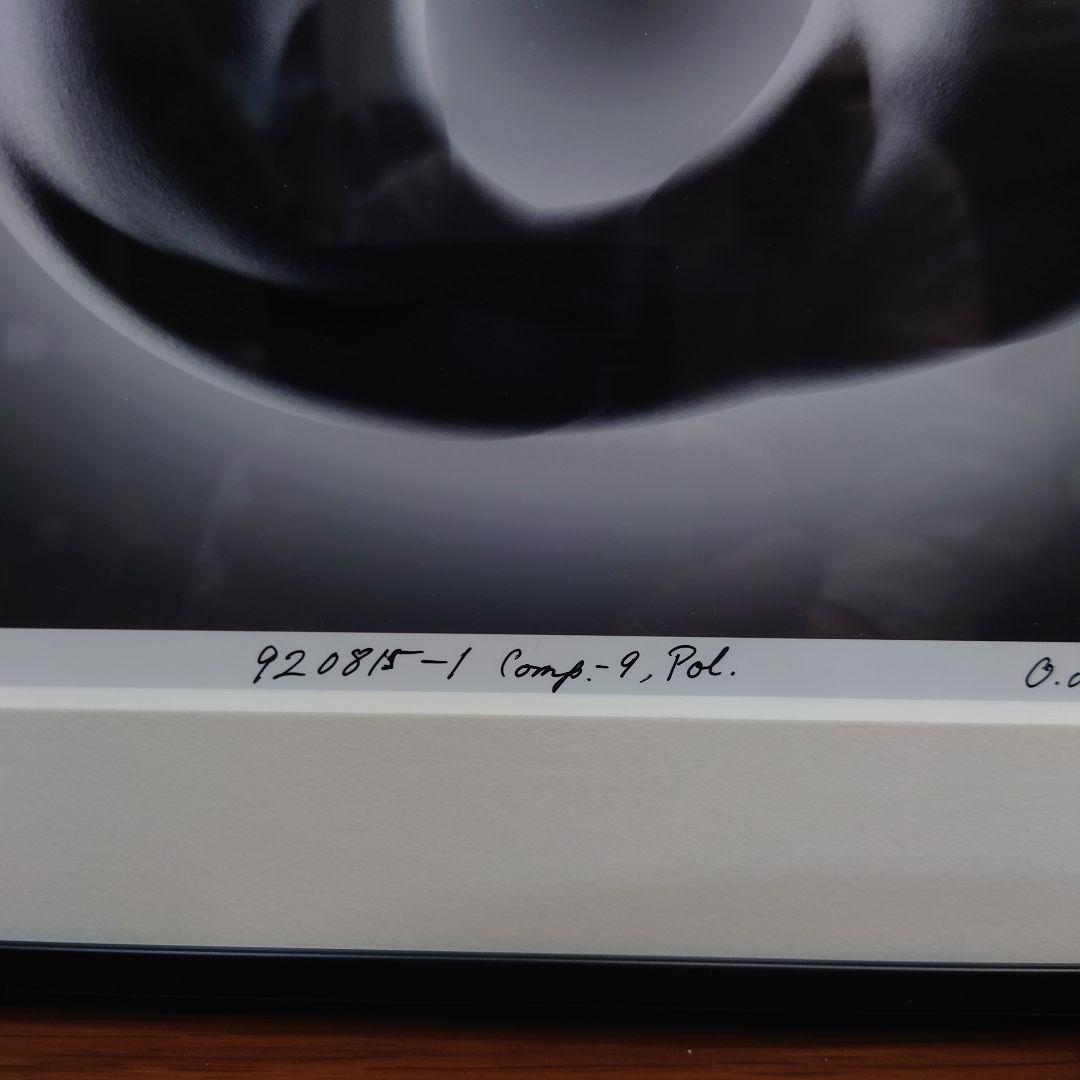 井上治（Osamu Inoue）9208151 フォトアート作品 額付き 八切り